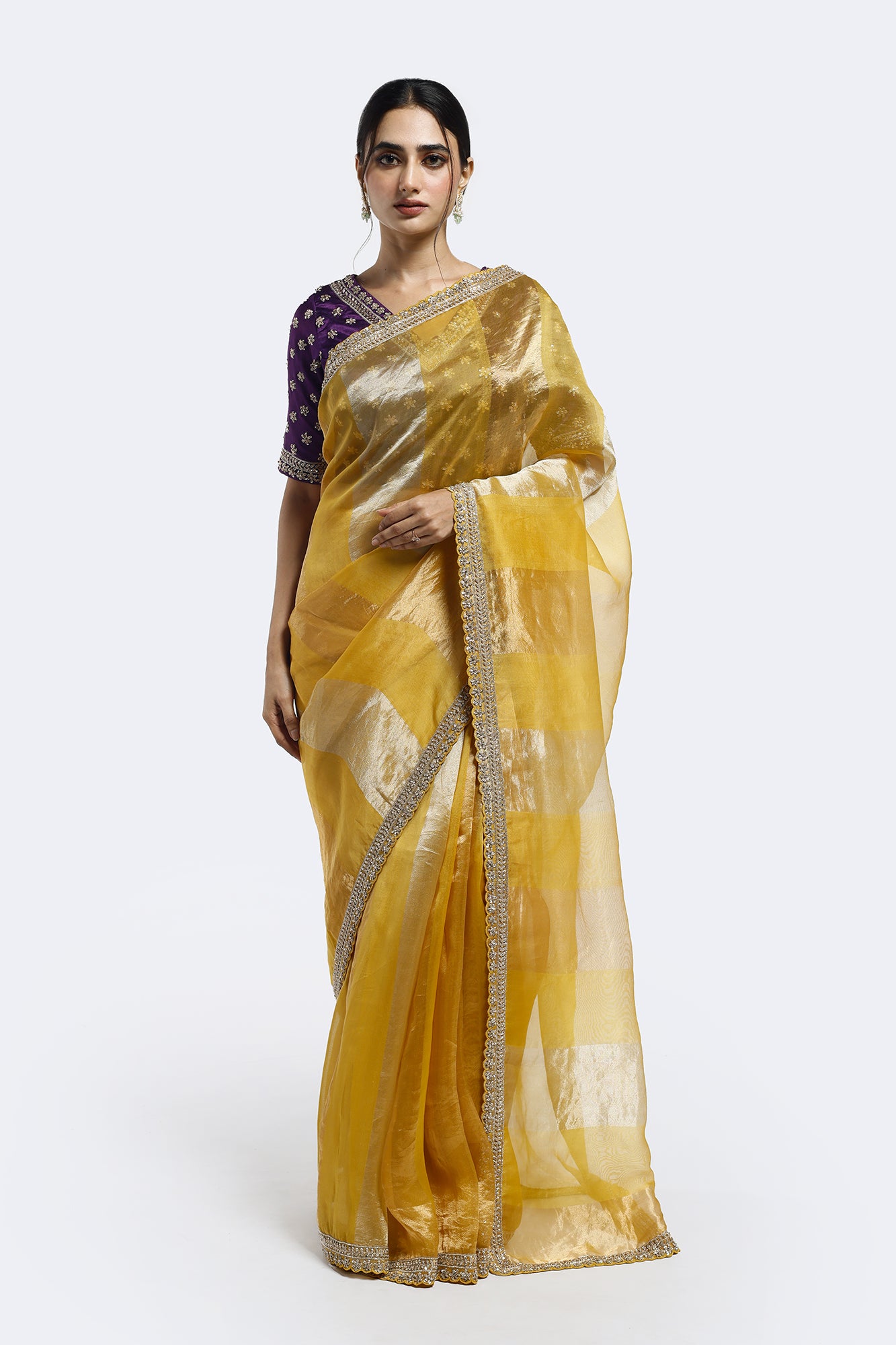 Subtly Panelled Tissue Saree