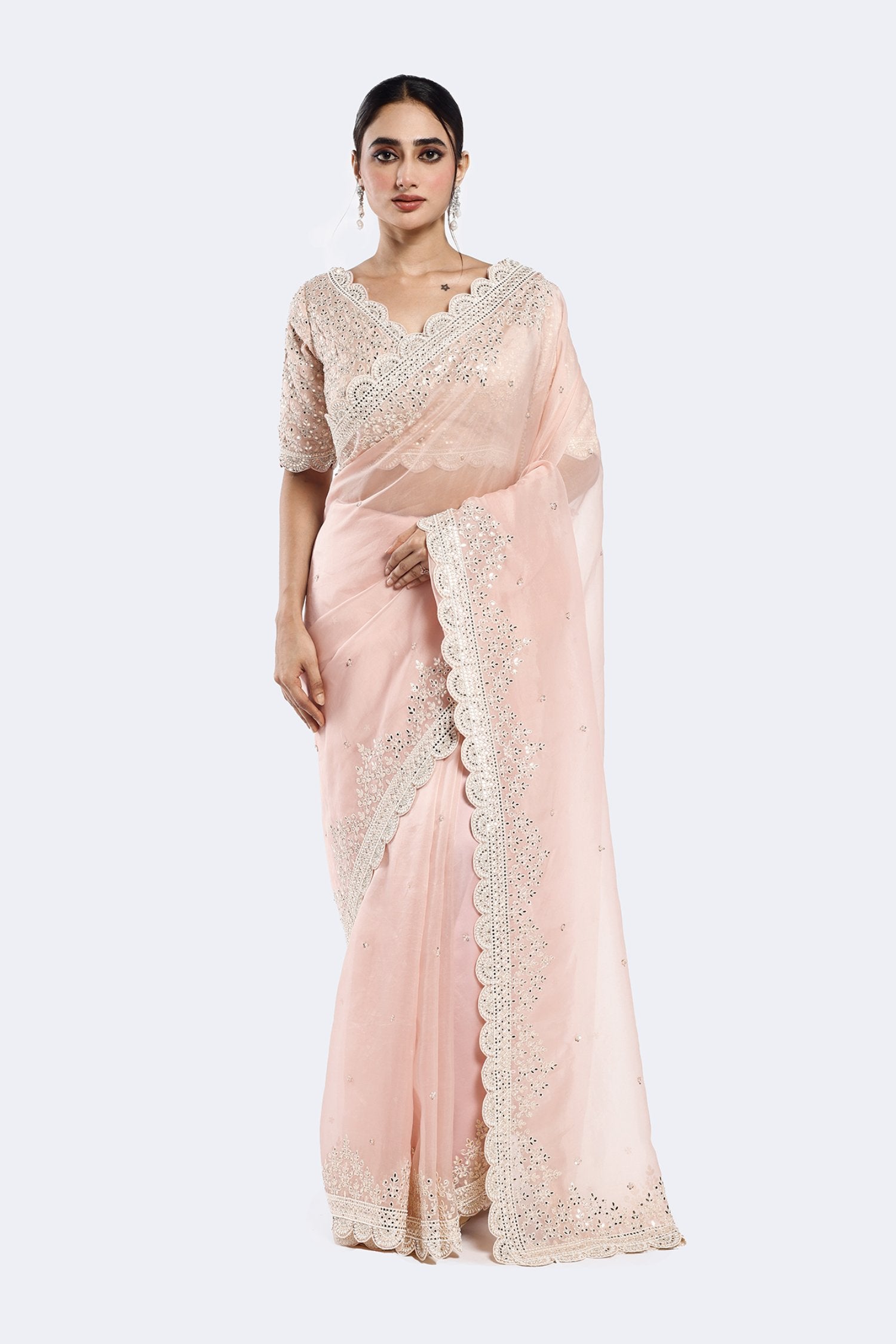 Sequinned Organza Saree