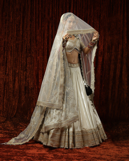 Silver & Gray Chandni lehenga set