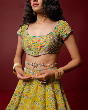 Aarya Pure Silk Organza Lehenga Set- front view