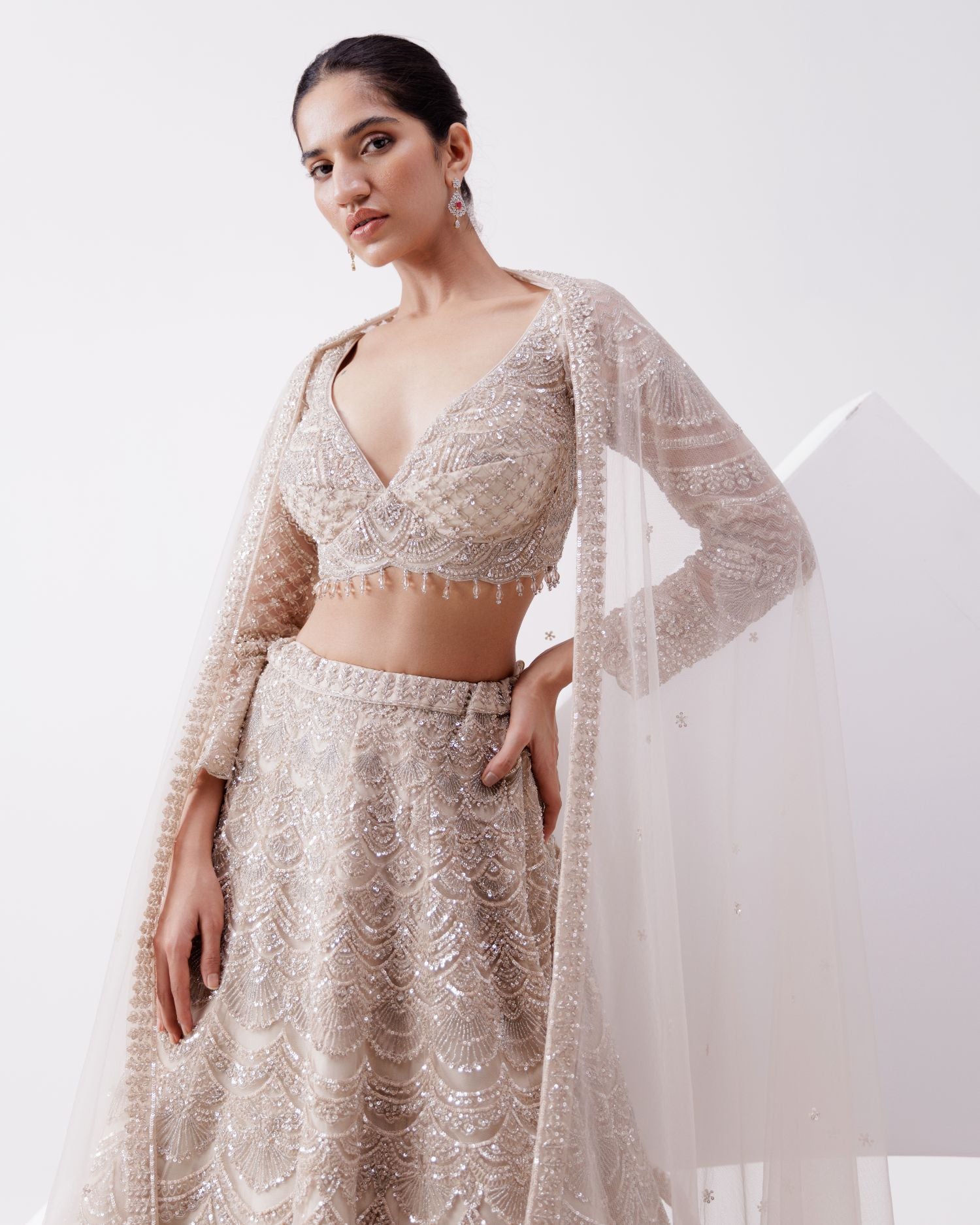 Beige Net Embroidered Lehenga