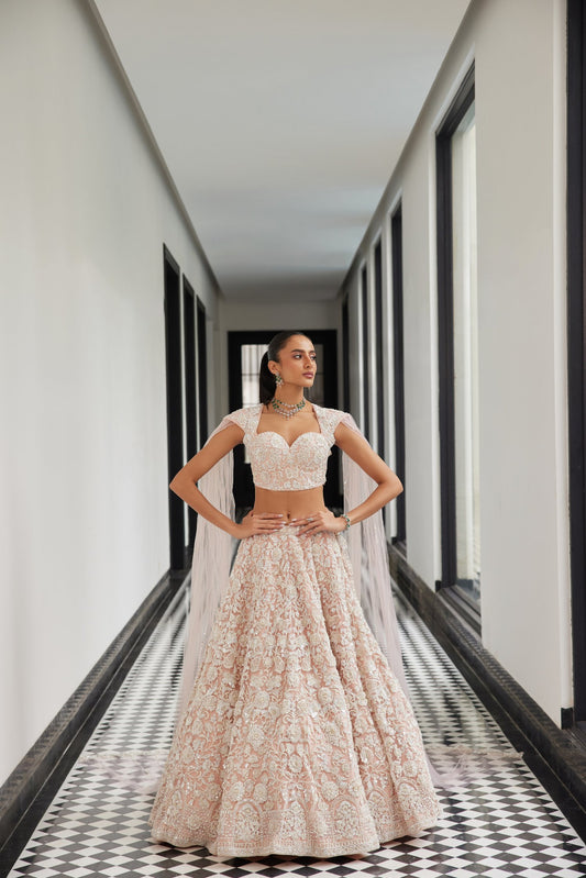 Pink Bridal Lehenga With A Veil Blouse