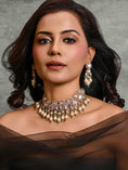 Load image into Gallery viewer, Golden Glory Choker With Earrings
