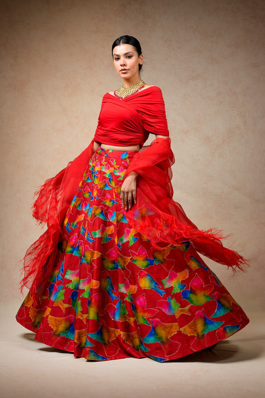 Hand Embroidred Lehenga With Drape Blouse And Feather Dupatta