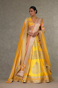 Load image into Gallery viewer, Yellow Sorbet Paan-Patti Lehenga
