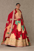 Load image into Gallery viewer, Salmon Candy Swirl Lehenga
