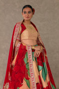 Load image into Gallery viewer, Salmon Candy Swirl Lehenga
