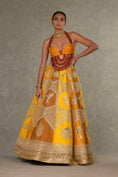 Load image into Gallery viewer, Ochre Neel-Kamal Lehenga
