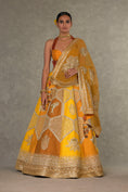 Load image into Gallery viewer, Ochre Neel-Kamal Lehenga
