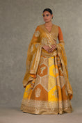 Load image into Gallery viewer, Ochre Neel-Kamal Lehenga
