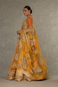 Load image into Gallery viewer, Ochre Neel-Kamal Lehenga
