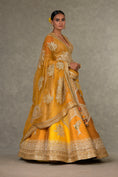 Load image into Gallery viewer, Ochre Neel-Kamal Lehenga
