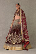 Load image into Gallery viewer, Wine 'Dil- Chidiya' Lehenga Set
