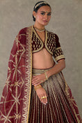 Load image into Gallery viewer, Wine 'Dil- Chidiya' Lehenga Set
