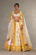 Load image into Gallery viewer, Nimbu Mirchi Lehenga Set
