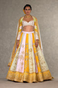 Load image into Gallery viewer, Nimbu Mirchi Lehenga Set
