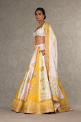 Load image into Gallery viewer, Nimbu Mirchi Lehenga Set
