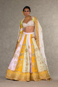 Load image into Gallery viewer, Nimbu Mirchi Lehenga Set
