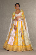 Load image into Gallery viewer, Nimbu Mirchi Lehenga Set
