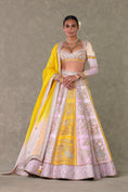 Load image into Gallery viewer, Kasata Lehenga
