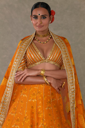 Rust Narangi-Bagh Lehenga Set- front view