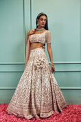 Load image into Gallery viewer, Lehenga Set
