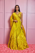 Load image into Gallery viewer, Lehenga Set
