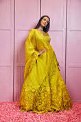 Load image into Gallery viewer, Lehenga Set
