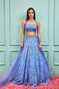 Load image into Gallery viewer, Lehenga Set
