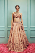 Load image into Gallery viewer, Lehenga Set
