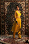 Load image into Gallery viewer, Prarambh Embroidered Straight Kurta Set
