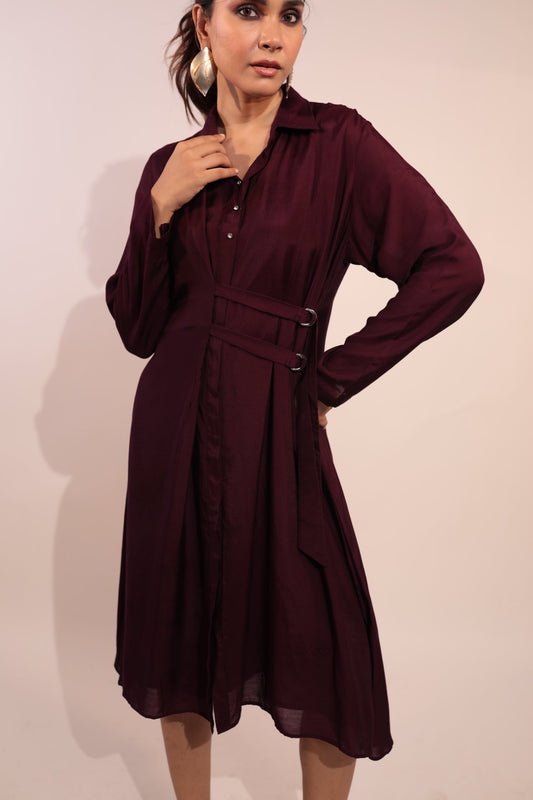 Purple Shirt Dress