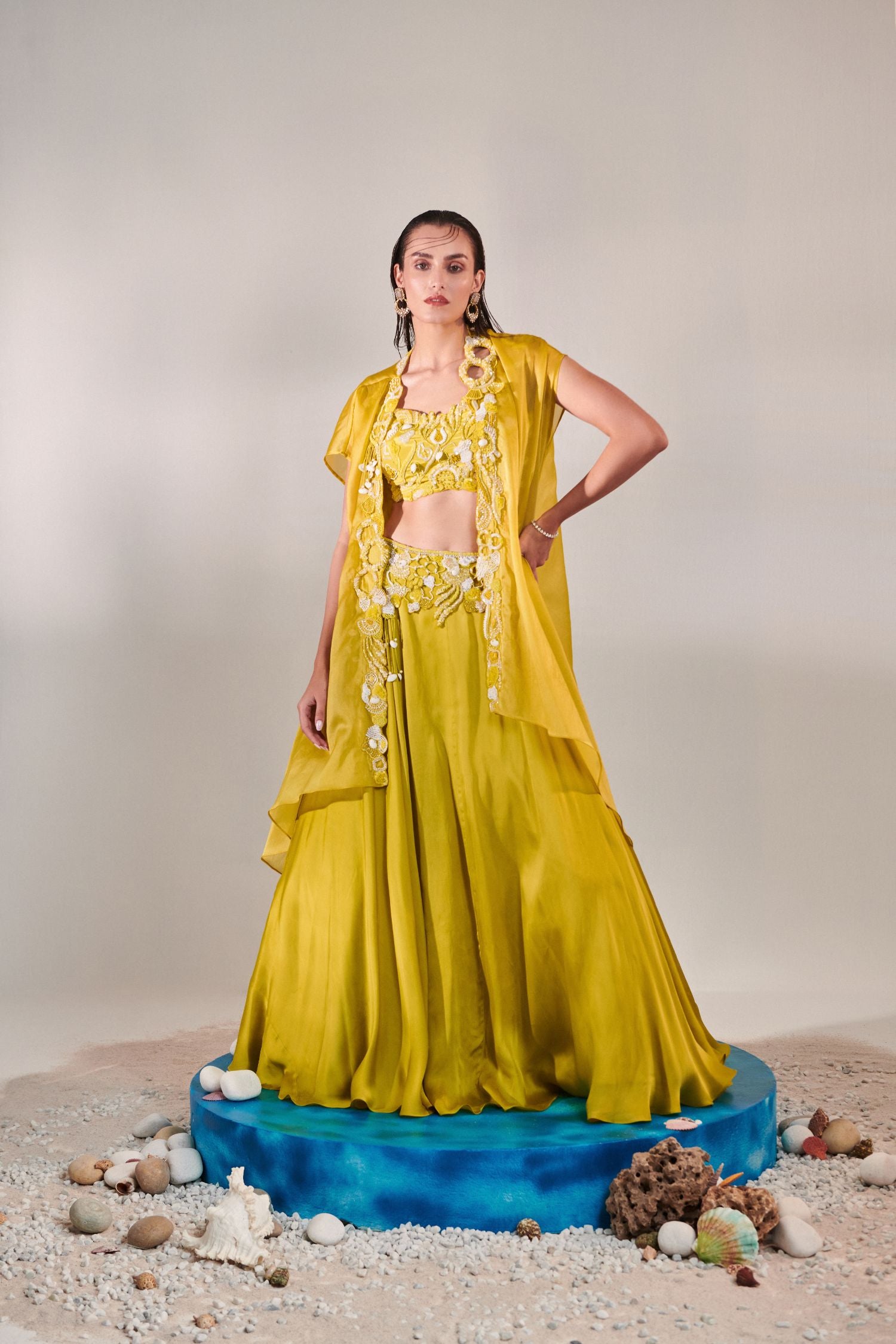 Lehenga Set